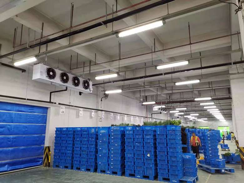 2400平廠房改建成生鮮冷藏庫應該如何來規(guī)劃設計?