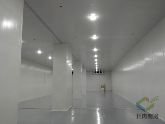 沈陽生物制劑冷庫建設標準 gsp診斷試劑冷庫 沈陽生物制劑冷庫建設標準 gsp診斷試劑冷庫