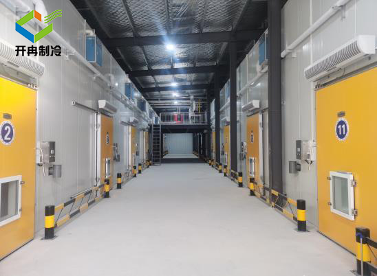 醫(yī)藥冷庫可儲存血漿疫苗藥物干細胞 醫(yī)藥冷庫可儲存血漿疫苗藥物干細胞