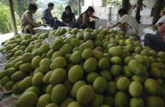 1000噸芒果冷庫(kù)造價(jià)大概多少，是怎么計(jì)算的