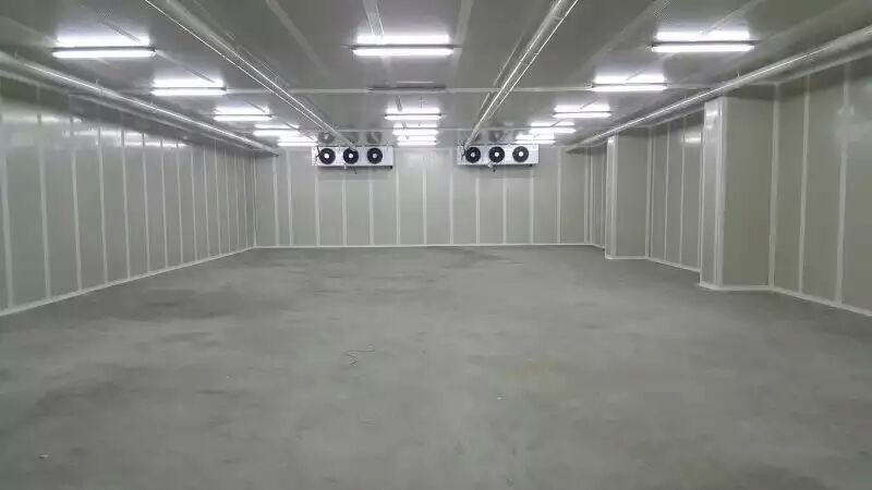 500平米氣調(diào)保鮮庫 500平米氣調(diào)保鮮庫