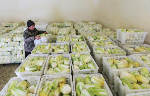 果蔬冷庫設計安裝 果蔬冷庫設計安裝