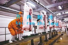 無錫存放凍肉冷庫(kù)安裝總投資多少錢