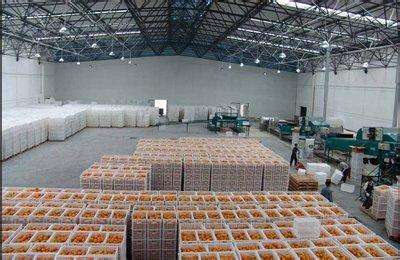 10000噸水果保鮮冷庫(kù)