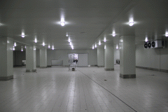 3000平方冷藏冷凍冷庫安裝投資多少錢?