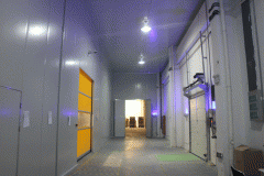 建一個10000立方米大型冷庫需要花多少錢?