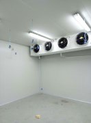 500平米海鮮冷庫建造,-25℃冷凍庫造價多少錢