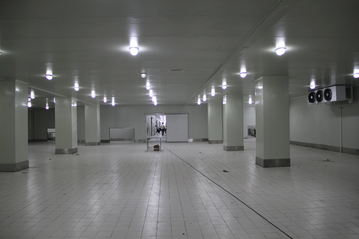 1000平米高3米冷庫(kù) 1000平米高3米冷庫(kù)