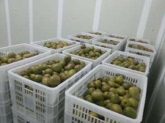 4000立方氣調冷庫安裝 4000立方氣調冷庫安裝