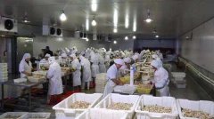 新建500噸魚(yú)類冷凍庫(kù)大約需要多少錢