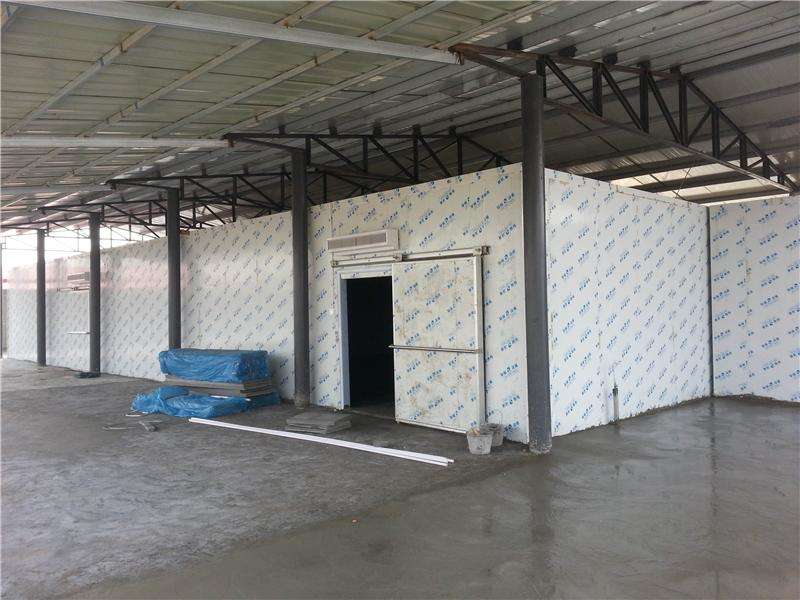 浙江建-60℃金槍魚超低溫冷庫,冷庫總價預(yù)算多少 浙江建-60℃金槍魚超低溫冷庫,冷庫總價預(yù)算多少