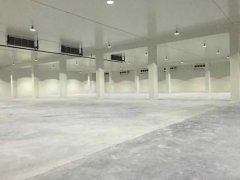 新建1000平方農產品冷藏庫大概要多少錢？