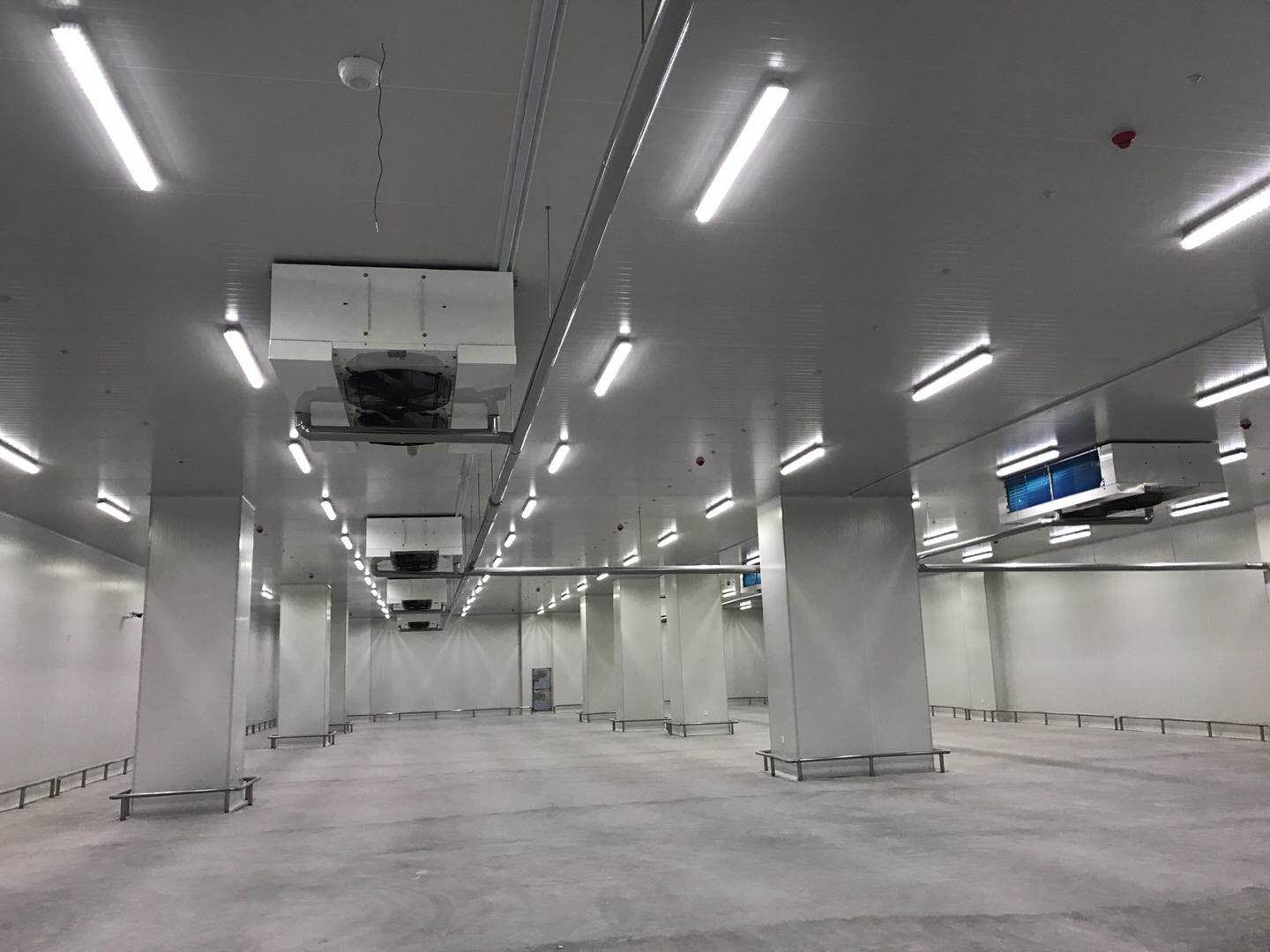 500平米食品冷庫建造,-23℃冷凍庫造價多少錢 500平米食品冷庫建造,-23℃冷凍庫造價多少錢