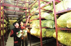 新建1000噸蔬菜冷庫(kù)設(shè)計(jì)大概多少錢(qián)？