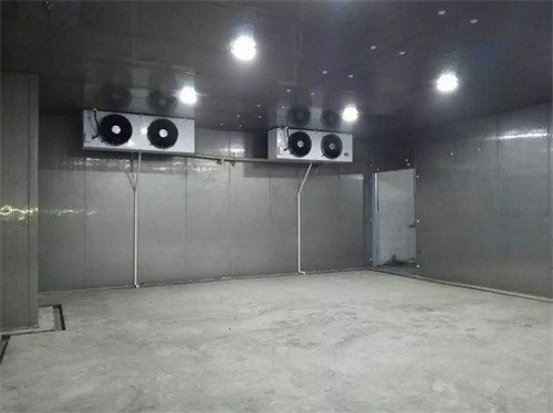 馬蹄（荸薺）保鮮冷庫(kù)