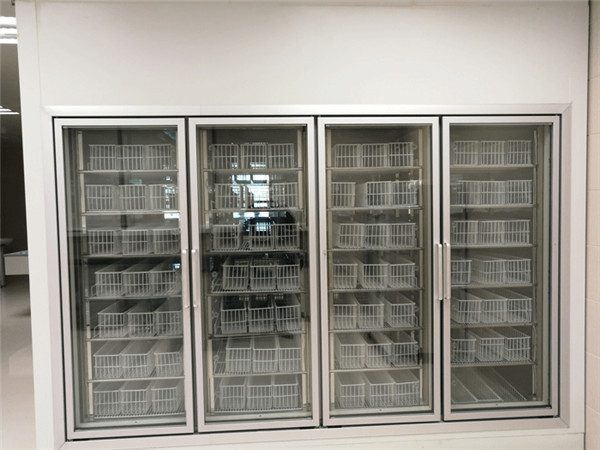 三甲醫(yī)藥冷庫（后補(bǔ)式冷庫）