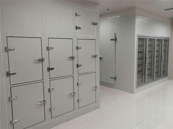 三甲醫(yī)藥冷庫（后補(bǔ)式冷庫）