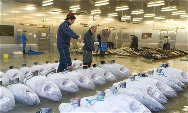 水產(chǎn)冷庫、三文魚生魚片冷庫 水產(chǎn)冷庫、三文魚生魚片冷庫