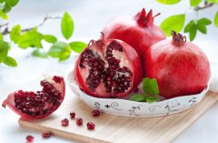 石榴冷藏庫儲存方法及安裝工程造價是多少錢?