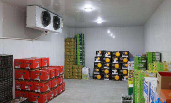 1633846343734790.jpg 1633846343734790.jpg