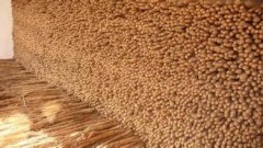 建一個(gè)山藥保鮮庫(kù)貯藏山藥有哪些好處？