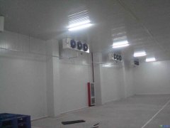 GSP醫(yī)療冷庫2-8℃冷庫建設報價，案例