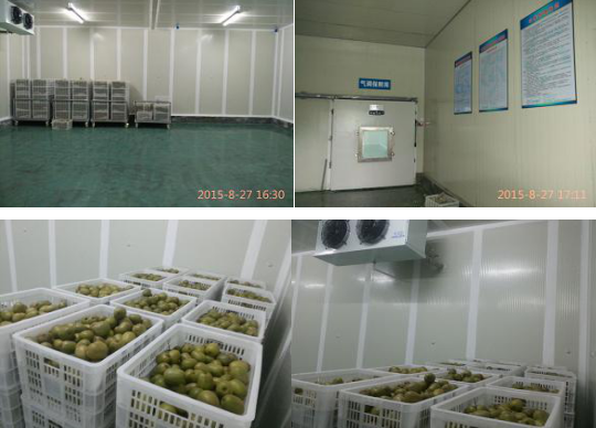 重慶互鵬農業(yè)發(fā)展有限公司獼猴桃氣調保鮮庫內景