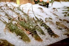 海鮮保存溫度？海鮮冷凍庫(kù)價(jià)格多少錢