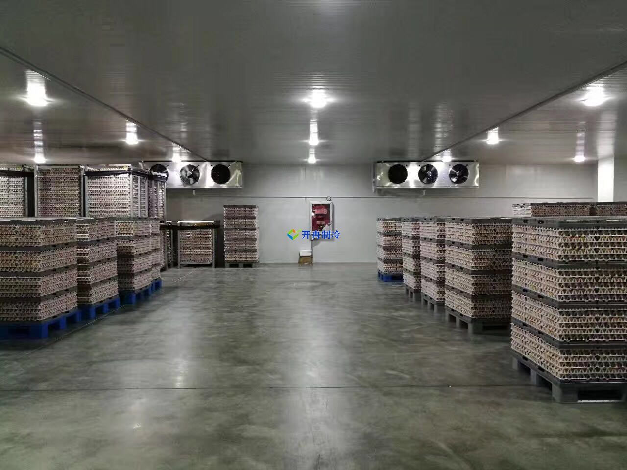 葡萄保鮮庫建造及設計造價,葡萄冷庫儲存方法