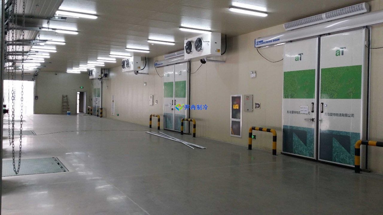 萬平冷凍庫建設(shè)規(guī)劃，冷庫建造建議